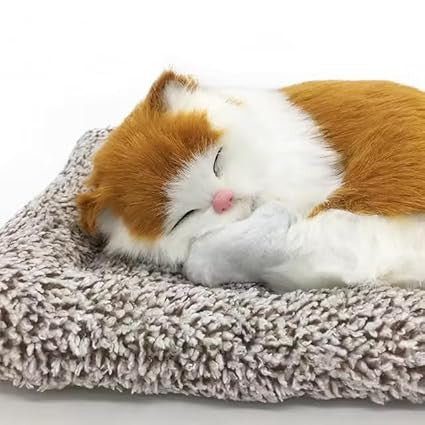 Sleeping Cat