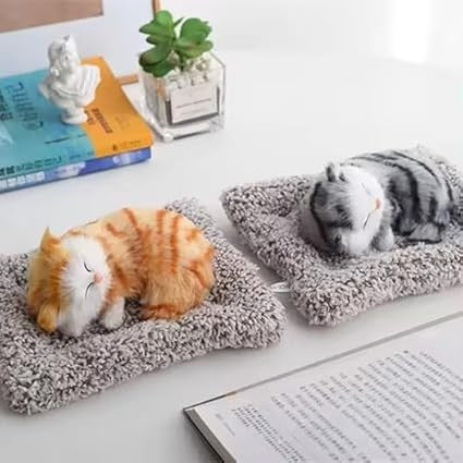 Sleeping Cat