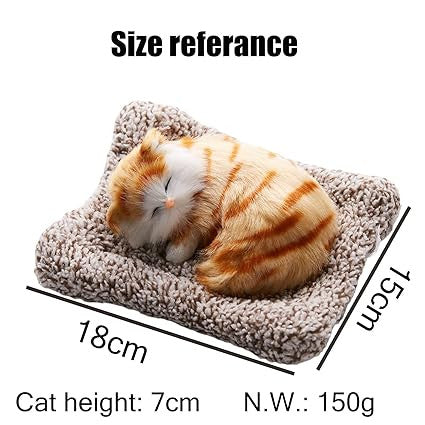 Sleeping Cat