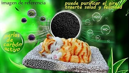 Sleeping Cat