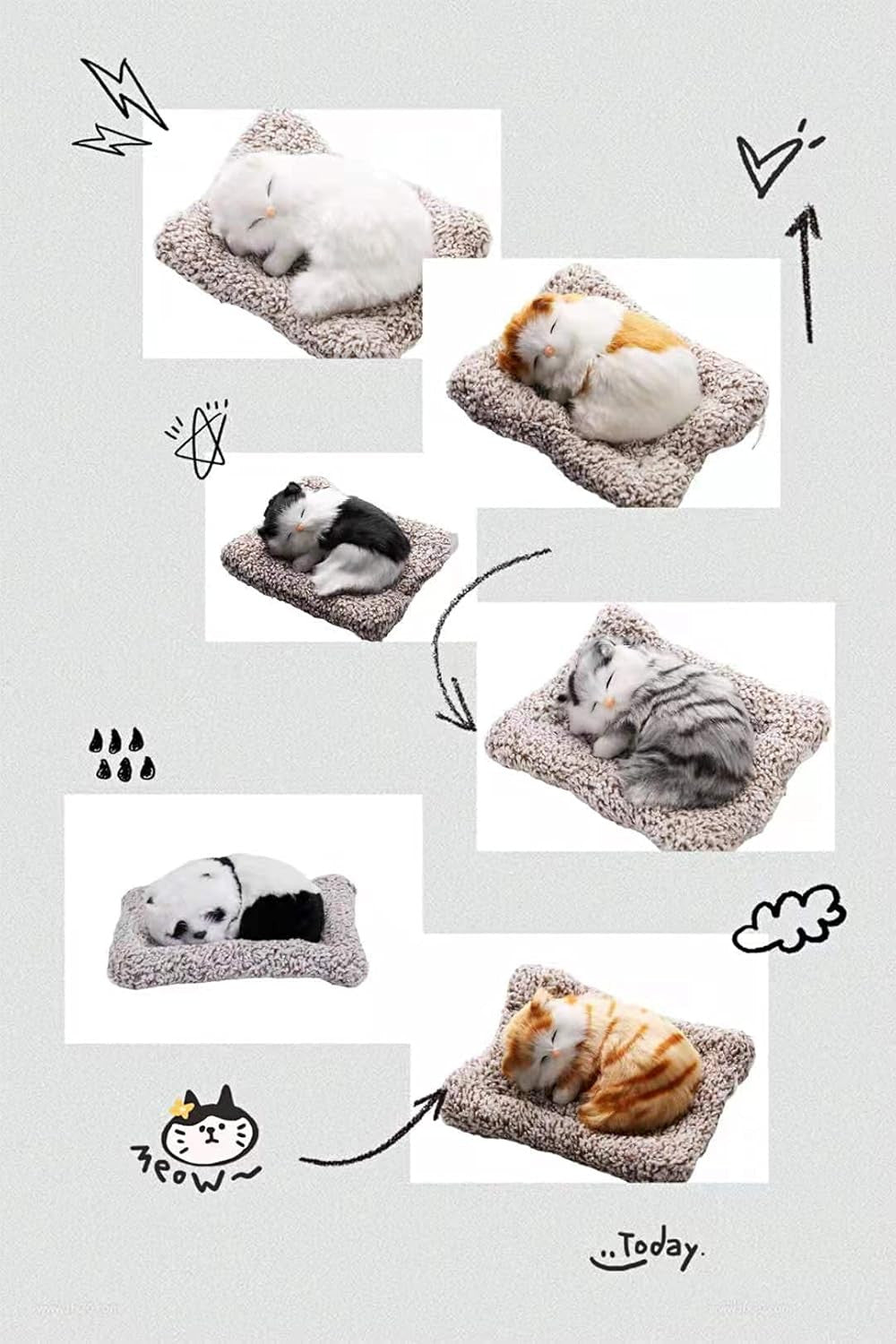 Sleeping Cat