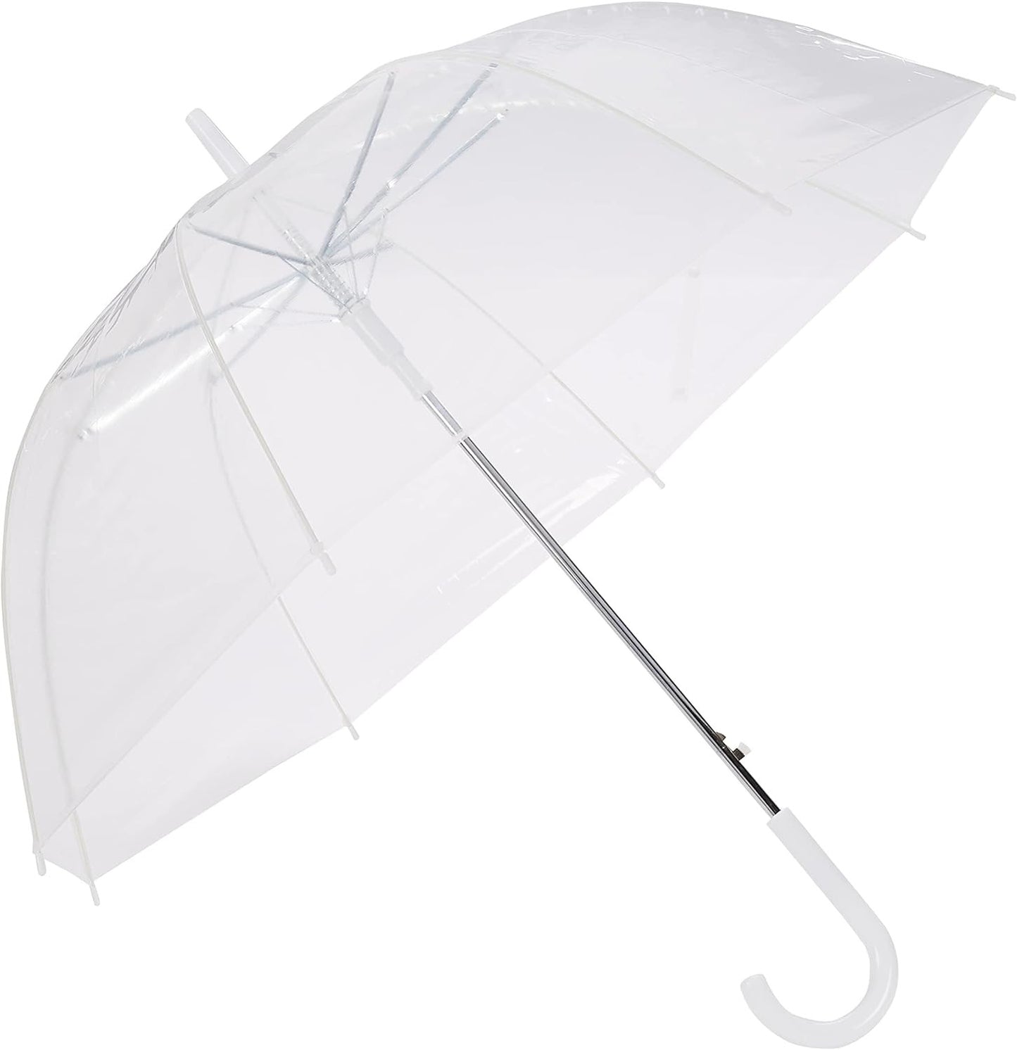 Transparent Umbrella