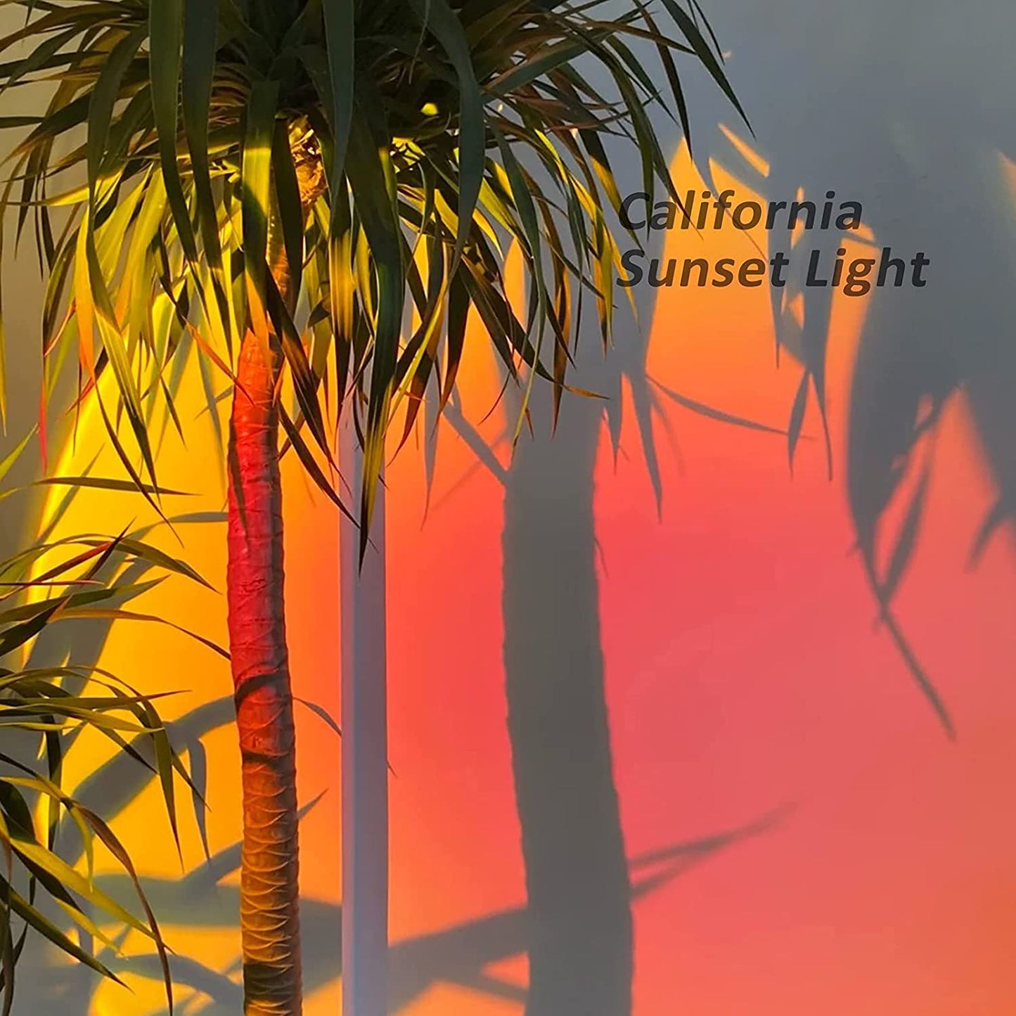 Sunset Light