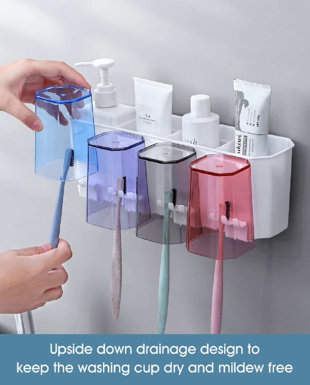 4 CupToothbrush Holder