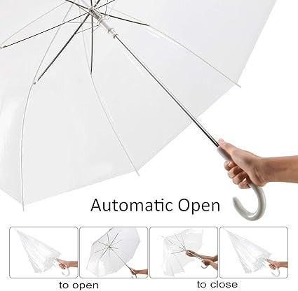 Transparent Umbrella