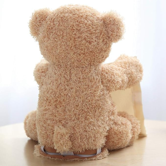 PEEK A BOO TOY TEDDY