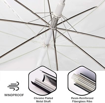 Transparent Umbrella
