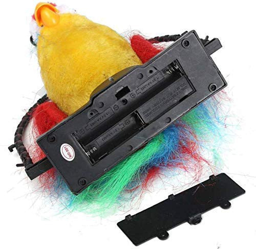 TALK BACK PARROT