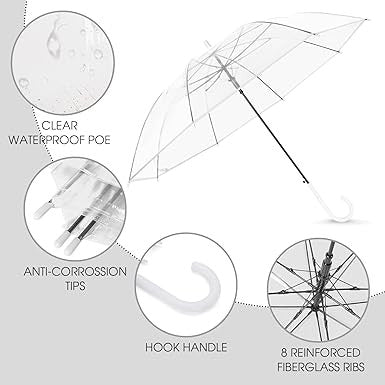 Transparent Umbrella